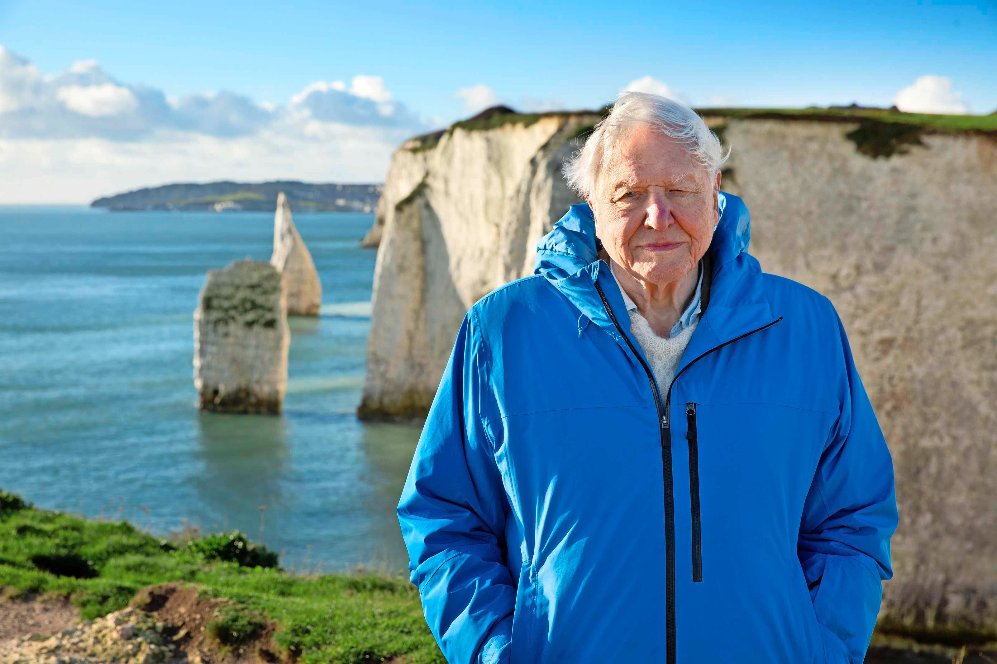 David Attenborough viert 100e verjaardag: kritiek, kunstknieën en pacemaker krijgen koning van de natuurfilms niet klein